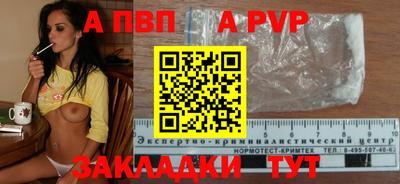 СК Бийск