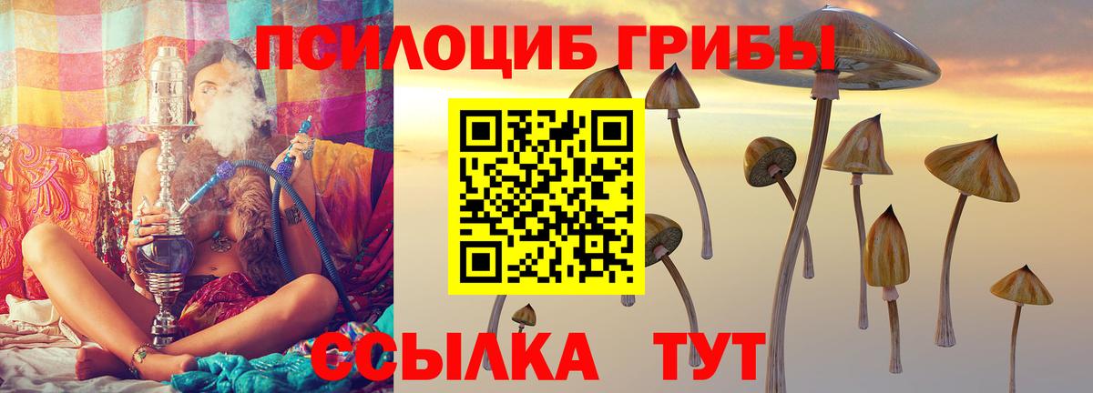 Галлюциногенные грибы прущие грибы  Псилоцибиновые грибы GOLDEN TEACHER  Ковров  Вход с VPN 